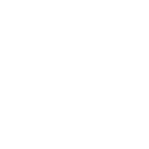 Icon_Integration-white