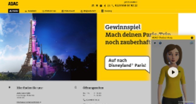 features-web-widget